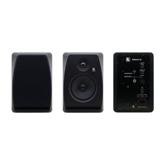 Dolev 5/Black 5-Inch  Two-Way Bi-Amplified Studio Grade Speaker Black